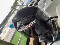 
										MOTOR MERCURY 115HP full									