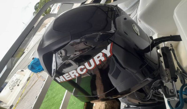 
								MOTOR MERCURY 115HP full									