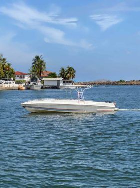 INTERMARINE Z 29
