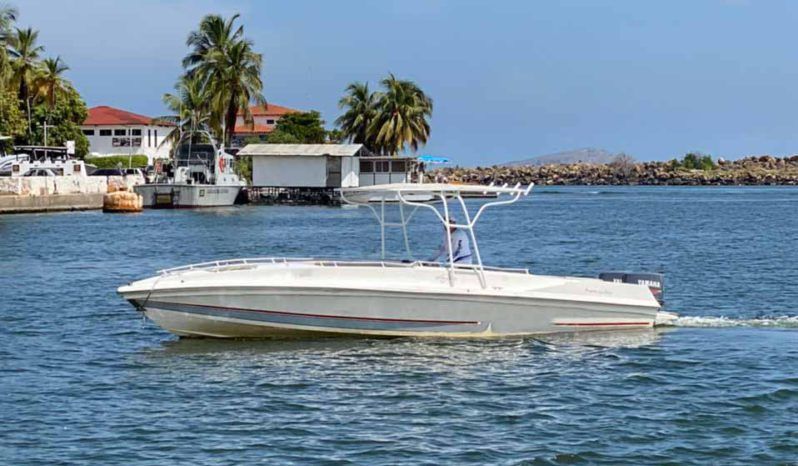 
								INTERMARINE Z 29 full									
