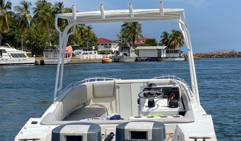
								INTERMARINE Z 29 full									