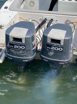 
										INTERMARINE Z 29 full									