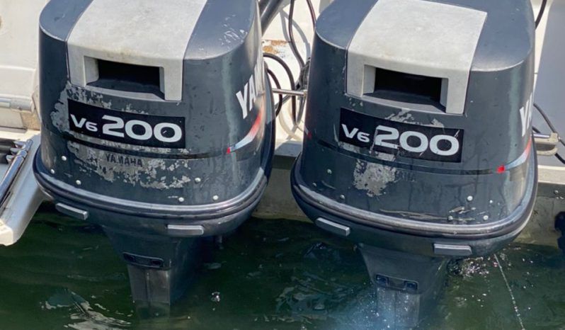 
								INTERMARINE Z 29 full									