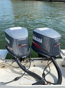 
										INTERMARINE Z 29 full									