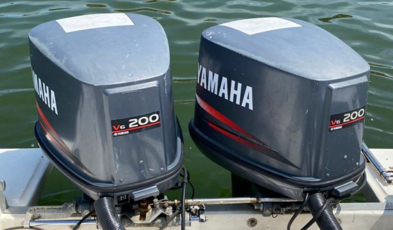 
								INTERMARINE Z 29 full									