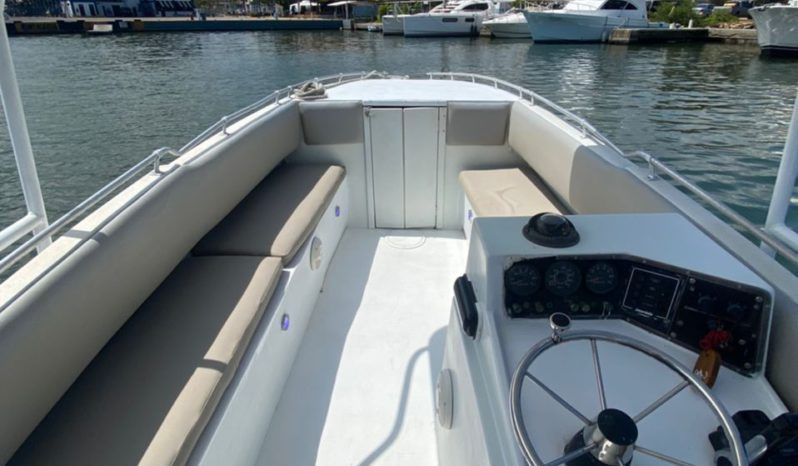 
								INTERMARINE Z 29 full									