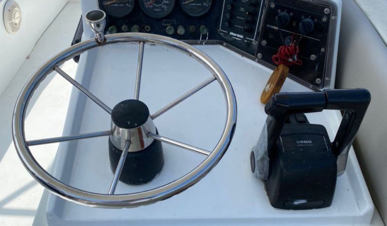 
								INTERMARINE Z 29 full									