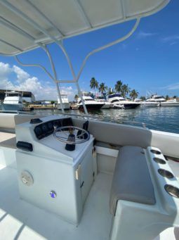 
										INTERMARINE Z 29 full									
