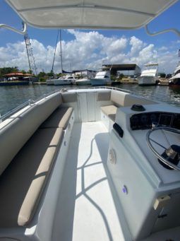 
										INTERMARINE Z 29 full									