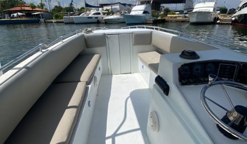 
								INTERMARINE Z 29 full									
