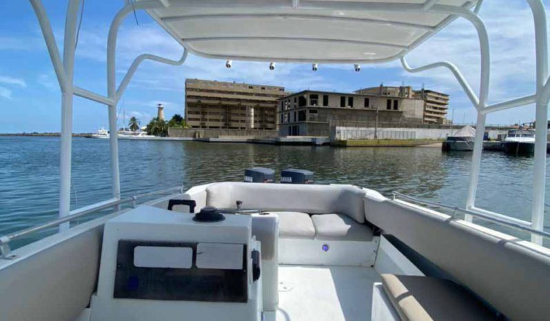 
								INTERMARINE Z 29 full									