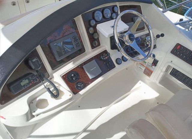 
								CARVER SPORT 38 full									