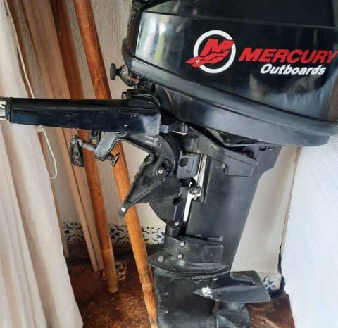 
								MOTOR MERCURY 15 full									