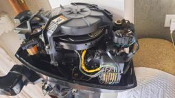 
										MOTOR MERCURY 15 full									