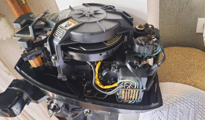 
								MOTOR MERCURY 15 full									