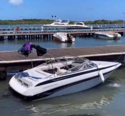 
										CROWNLINE 18.5 full									