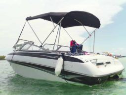 
										CROWNLINE 18.5 full									