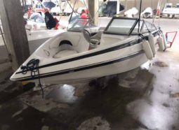 
										CROWNLINE 18.5 full									