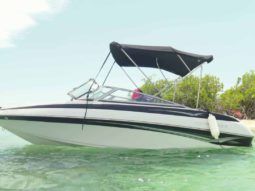 
										CROWNLINE 18.5 full									