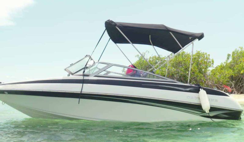 
								CROWNLINE 18.5 full									