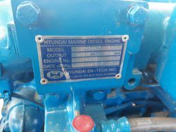 
										MOTOR HYUNDAI 21A full									