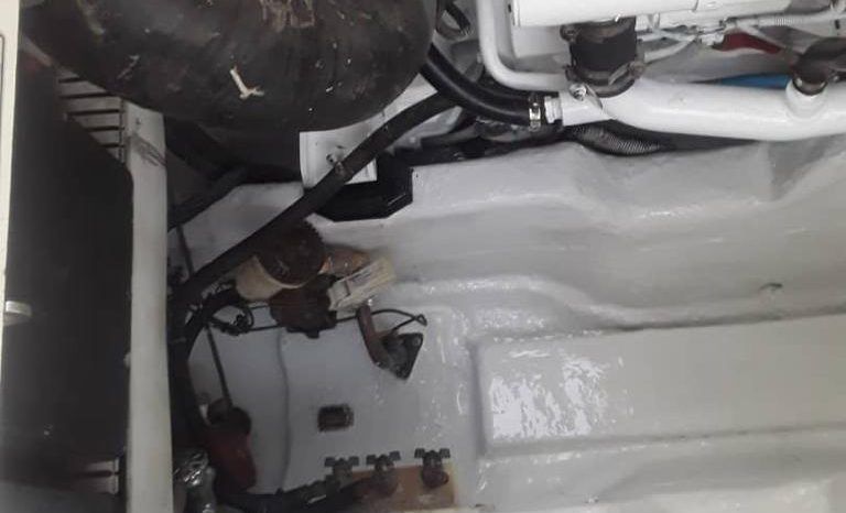 SEA RAY SUNDANCER 40 full
