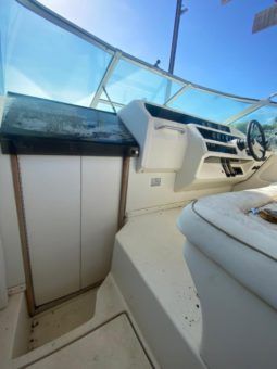 SEA RAY SUNDANCER 30 full