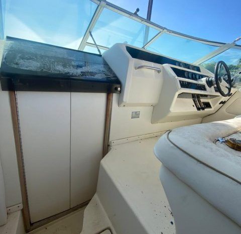 SEA RAY SUNDANCER 30 full