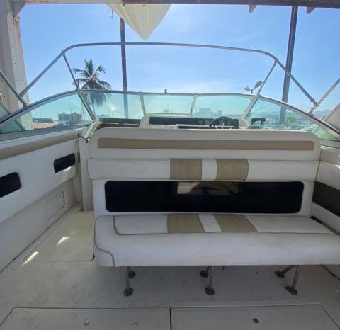 SEA RAY SUNDANCER 30 full