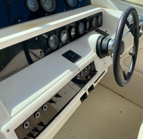 SEA RAY SUNDANCER 30 full