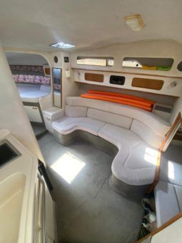 SEA RAY SUNDANCER 30 full