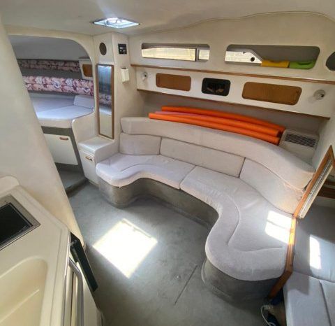 SEA RAY SUNDANCER 30 full