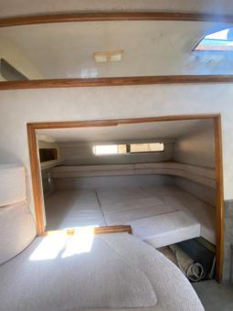 SEA RAY SUNDANCER 30 full