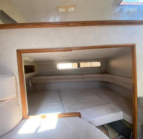 SEA RAY SUNDANCER 30 full