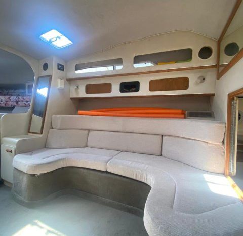 SEA RAY SUNDANCER 30 full