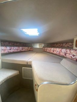 SEA RAY SUNDANCER 30 full