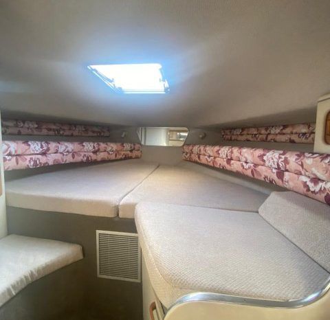 SEA RAY SUNDANCER 30 full