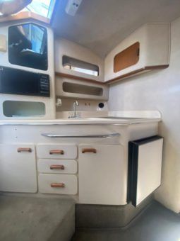 SEA RAY SUNDANCER 30 full