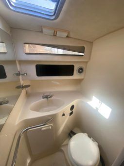 SEA RAY SUNDANCER 30 full