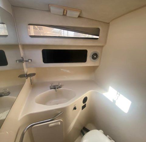 SEA RAY SUNDANCER 30 full