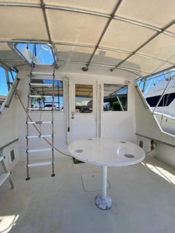 HATTERAS CONVERTIBLE 42 full
