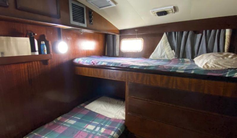 HATTERAS CONVERTIBLE 42 full