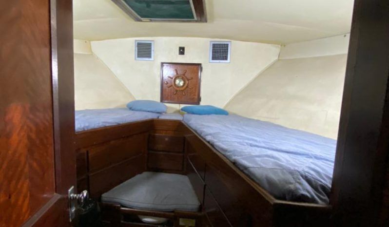 HATTERAS CONVERTIBLE 42 full