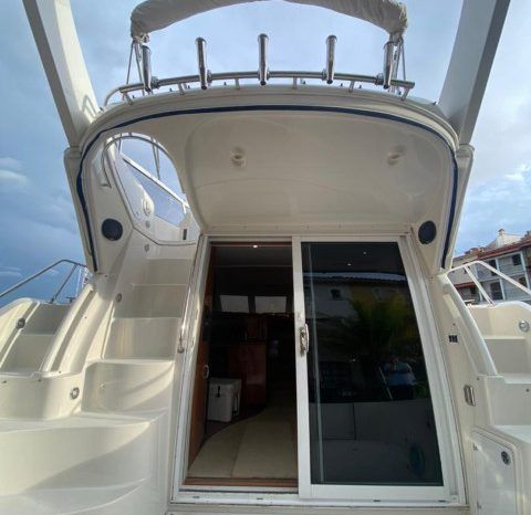 
								CARVER SPORT 38 full									