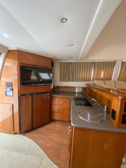 
										CARVER SPORT 38 full									