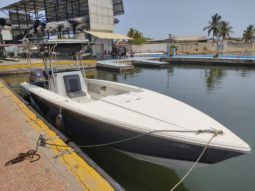 
										TITAN OPEN 30 full									