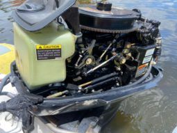 
										DINGHY CARIBE 12 full									