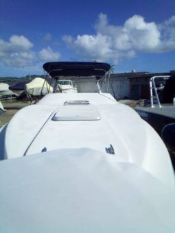 INTERMARINE Z33 full