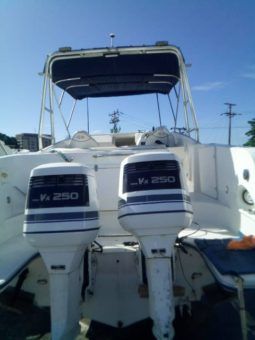 INTERMARINE Z33 full
