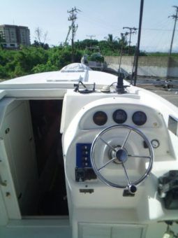 INTERMARINE Z33 full